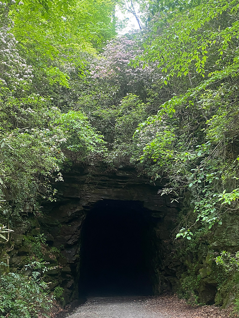 Upcountry South Carolina | Stumphouse Tunnel | Highroads Living