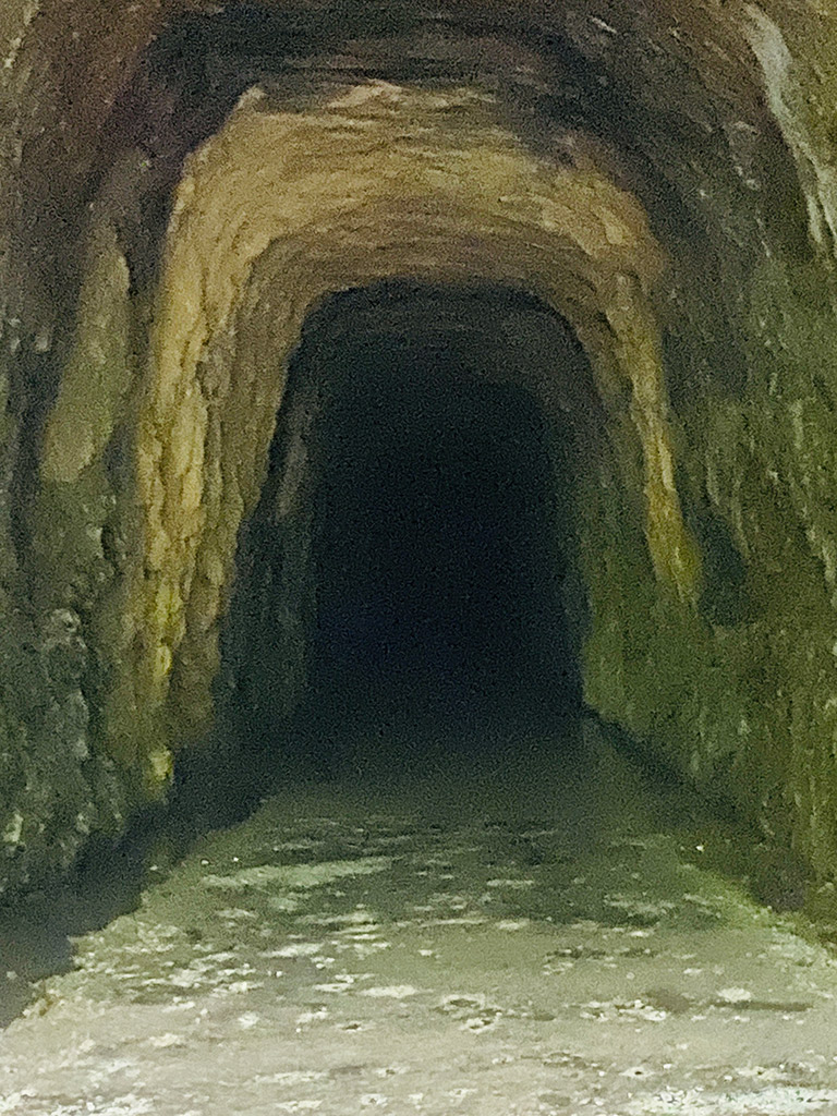 Upcountry South Carolina | Stumphouse Tunnel | Highroads Living